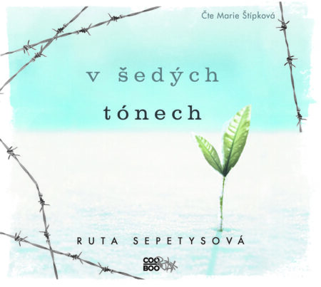 V šedých tónech