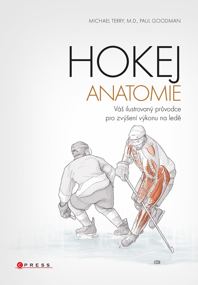 Hokej - anatomie