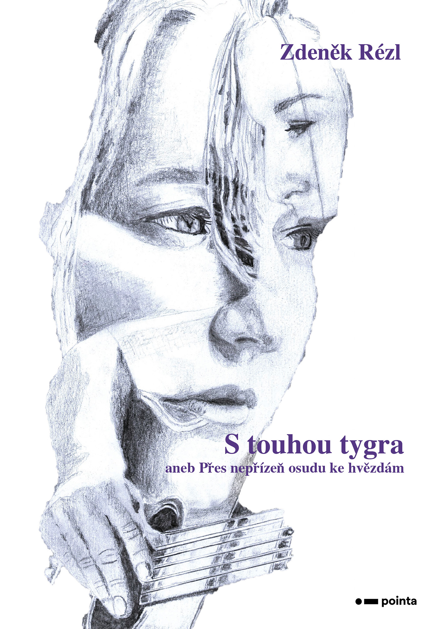 S touhou tygra