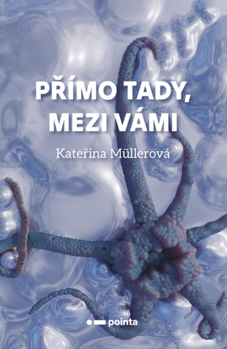 Přímo Tady, Mezi Vámi