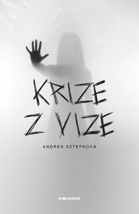 Krize z vize