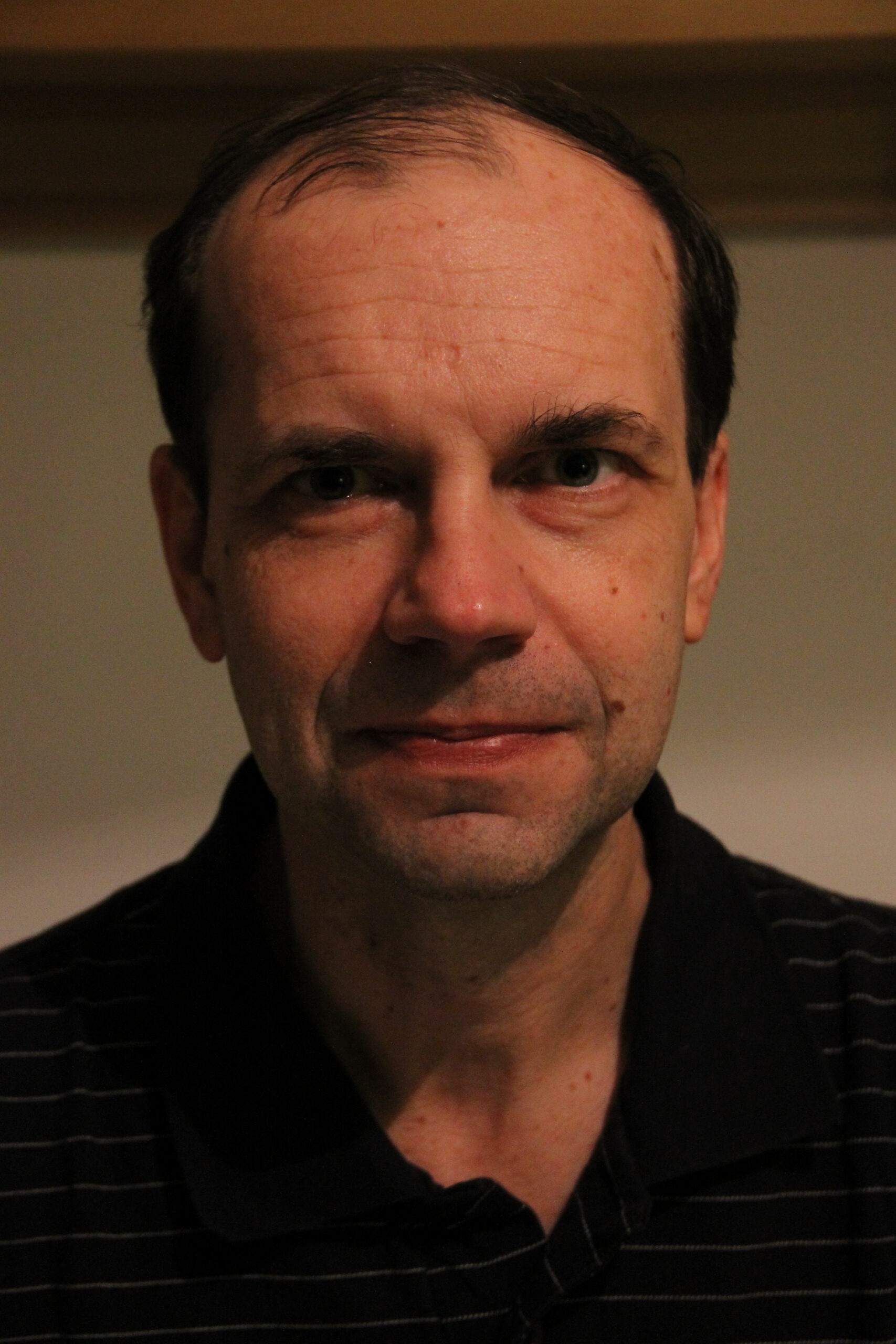 Ivo T. Budil