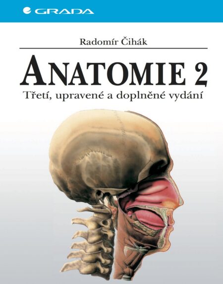 Anatomie 2