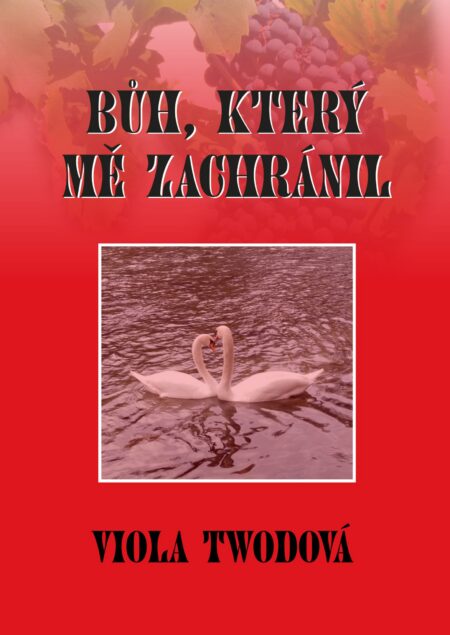 Bůh, který mě zachránil