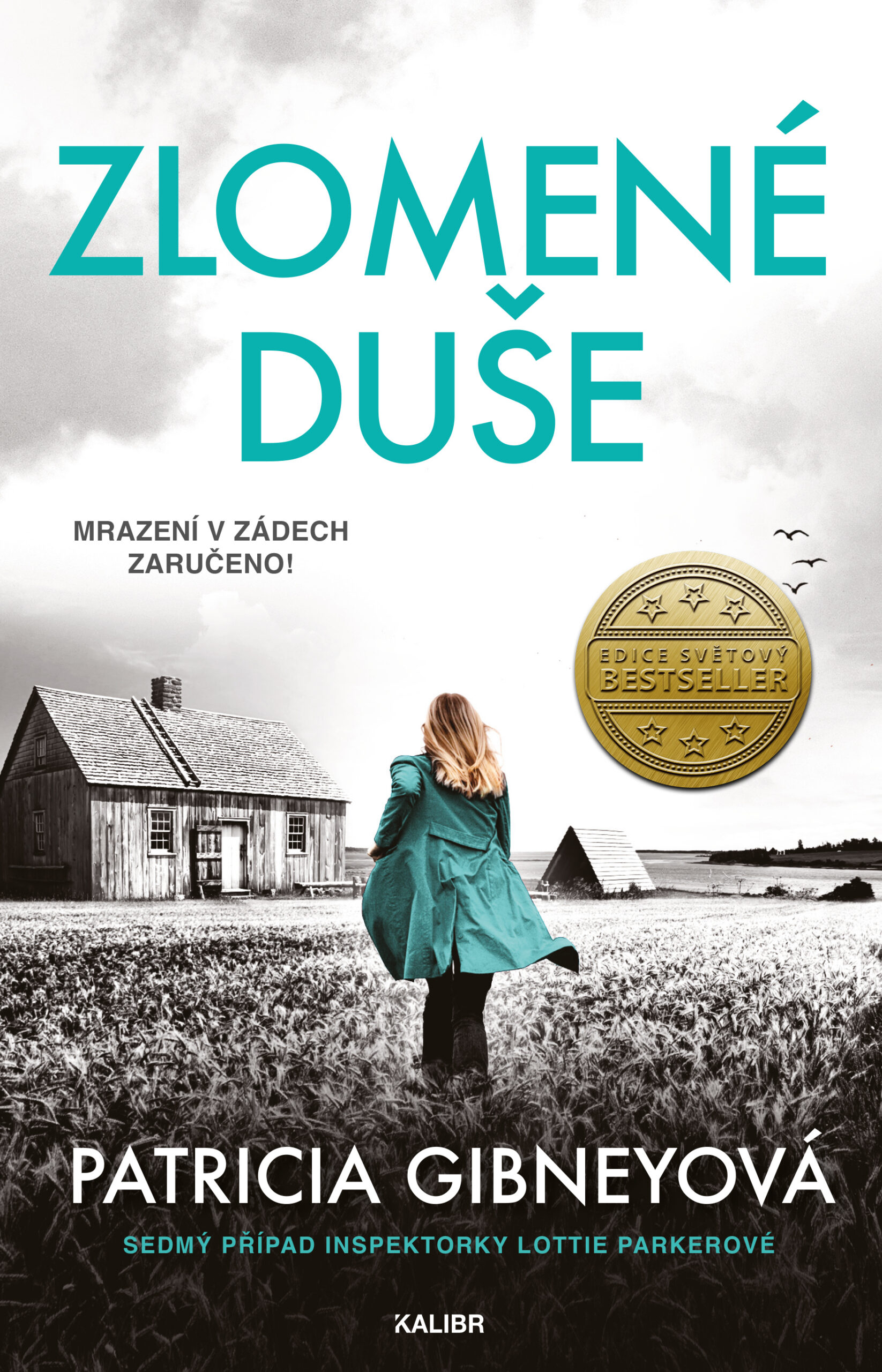 Inspektorka Lottie Parkerová 7: Zlomené duše