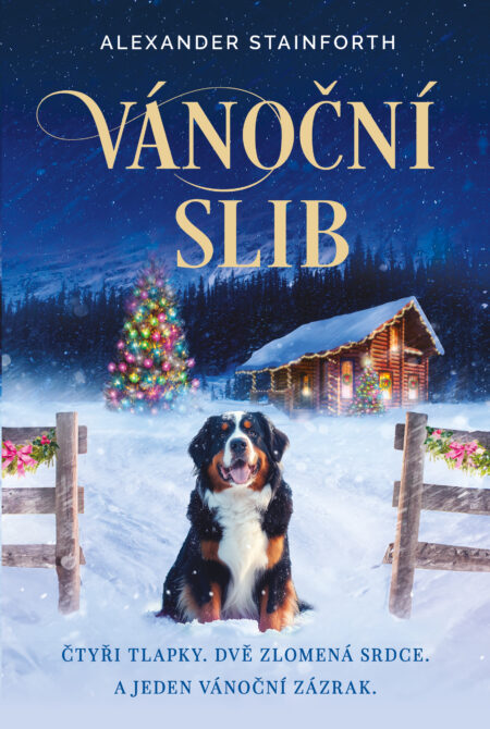 Vánoční slib