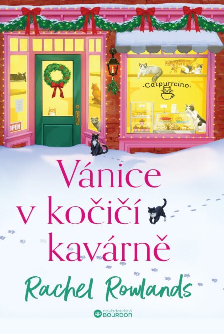 Vánice v kočičí kavárně