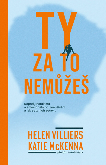 Ty za to nemůžeš