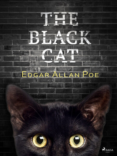 The Black Cat