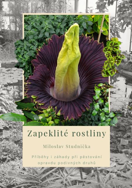 Zapeklité rostliny