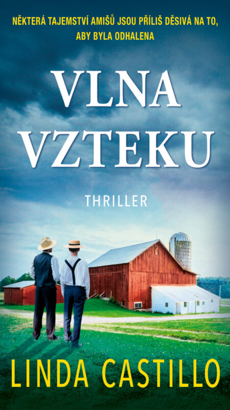 Vlna vzteku