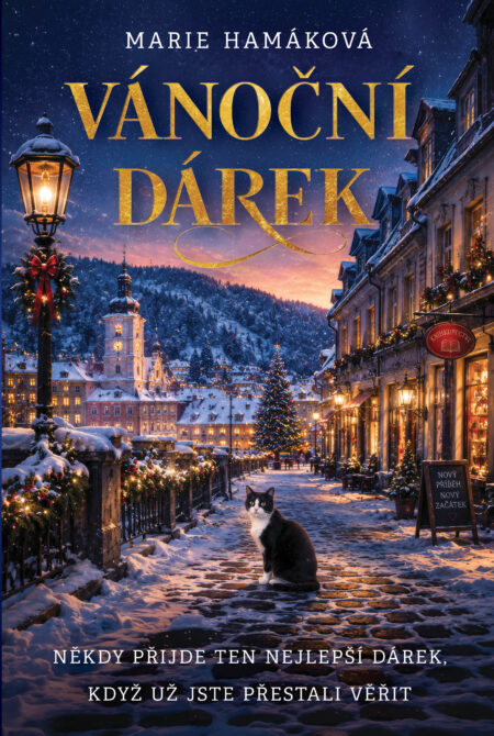 Vánoční dárek