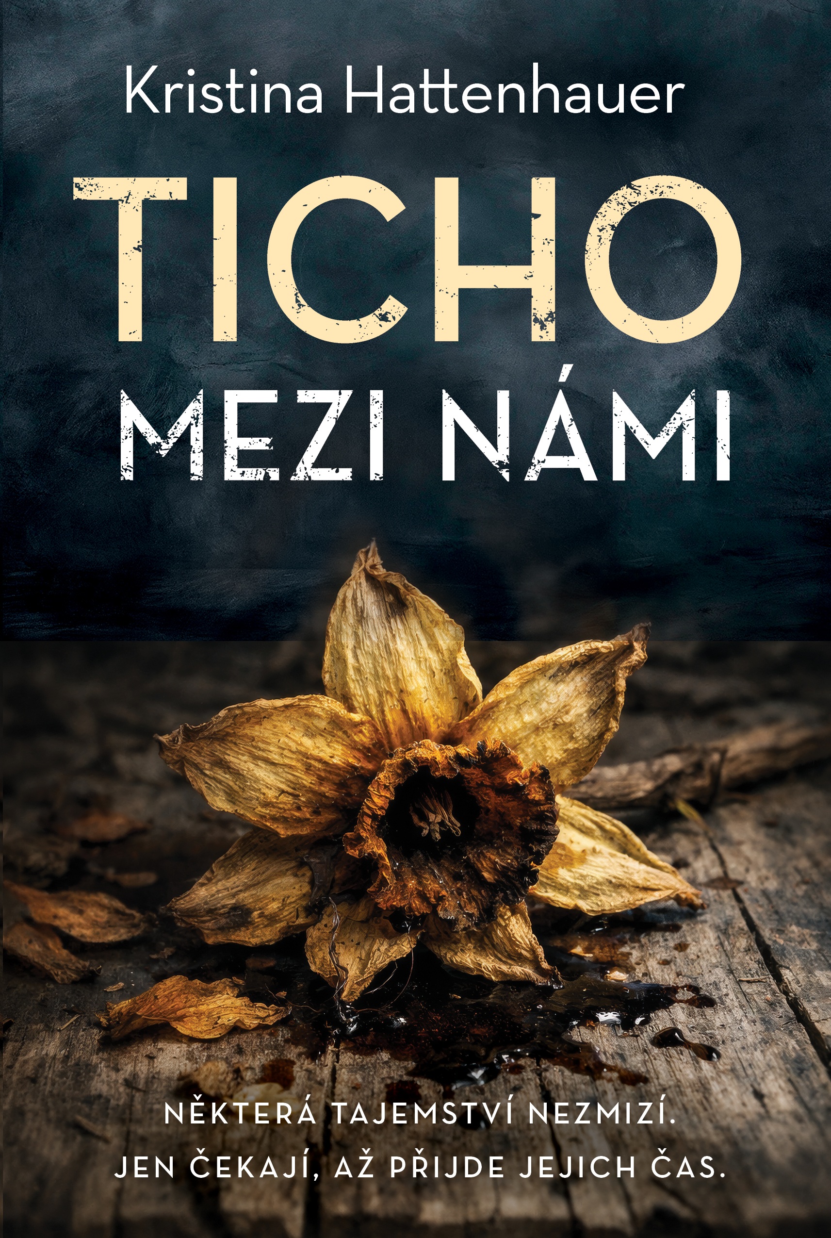 Ticho mezi námi