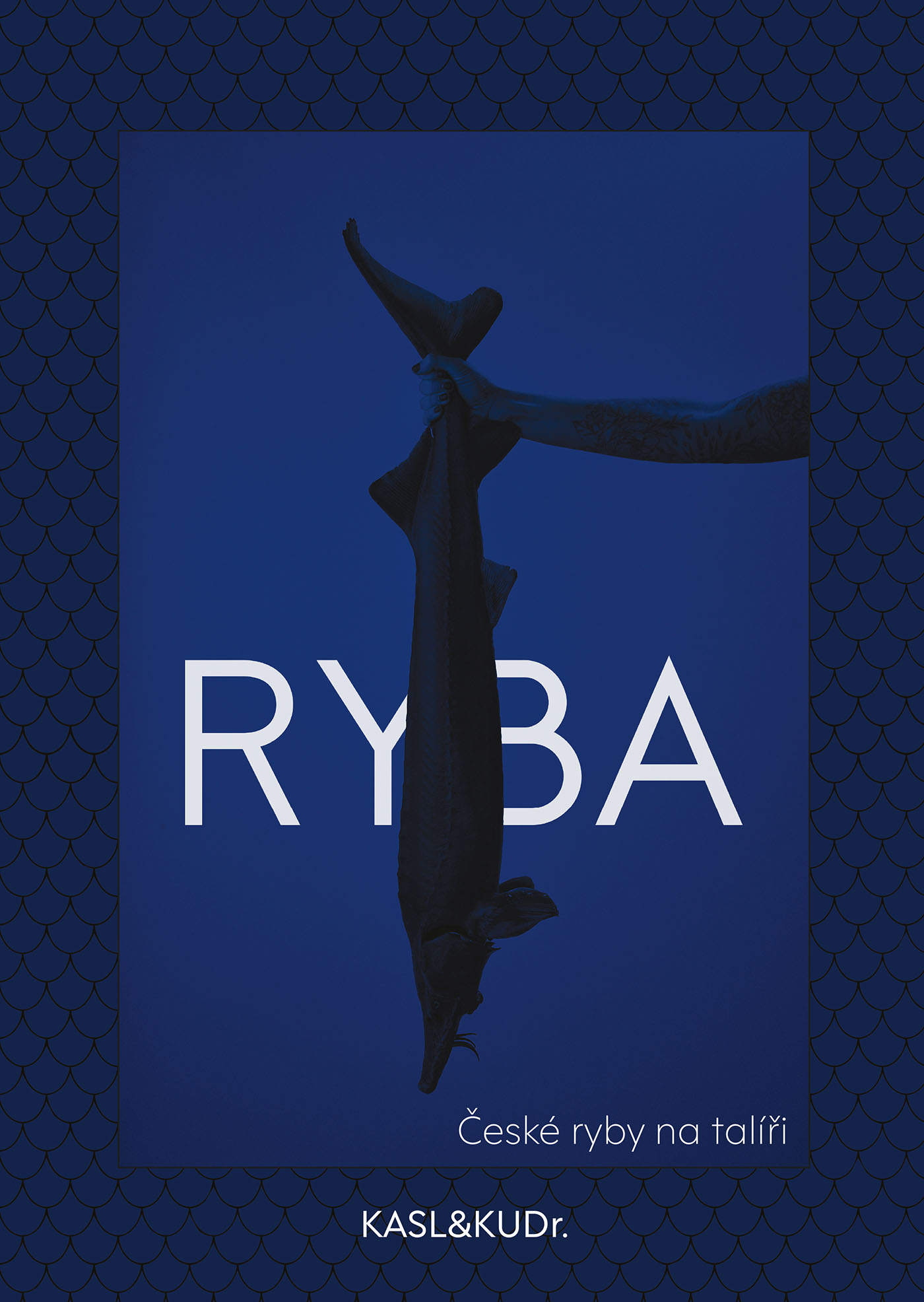 Ryba: české ryby na talíři